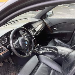 ����, ������� �����, 48 ���