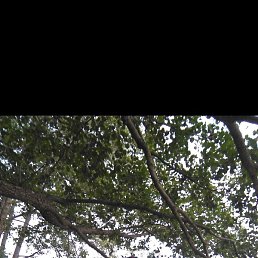 �������, �����, 41 ���