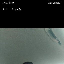 David, �����, 38 ���