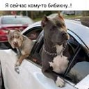 ���� �����, �����, 38 ��� - ��������� 2 ���� 2023 � ������ ���� ����������