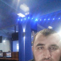 ����, ������������, 37 ���