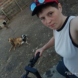 �����, ����, 32 ����