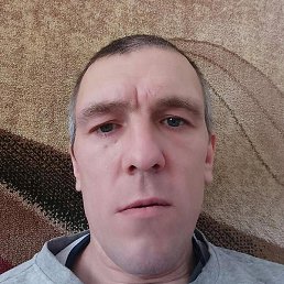 ���, ������, 41 ���