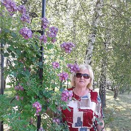 ����, ��������, 71 ���