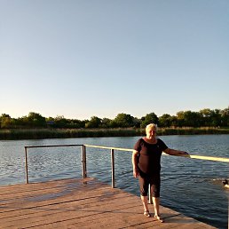 �������, ��������, 68 ���