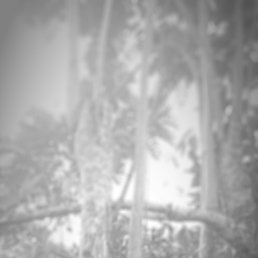 ���� Naps, �����������, 26 ��� - ��������� 26 ������� 2023