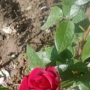 ���� ����, ���������, 38 ��� - ��������� 15 ������� 2023 � ������ ���� ����������