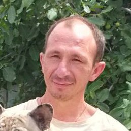 ������, �������, 42 ����