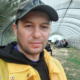 ���� �����, ������, 43 ���� - ��������� 5 �������� 2023