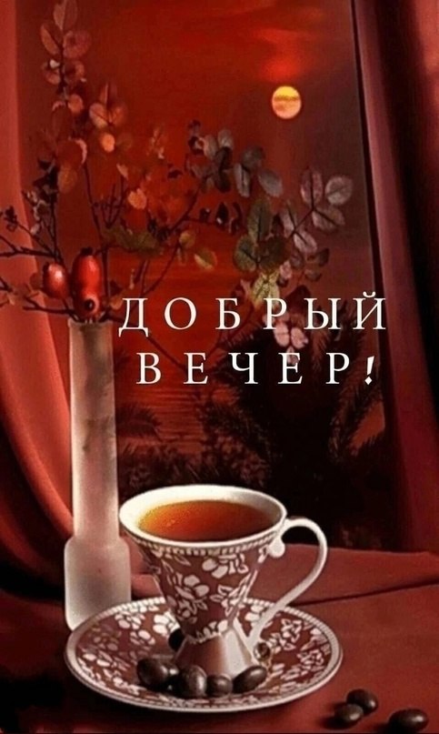   - 24  2023  19:12