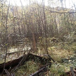 ���������, ����������, 70 ���