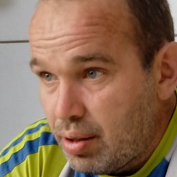 �����, ������������, 41 ���