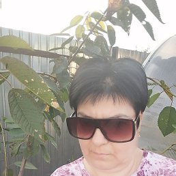 �������, ������, 50 ���