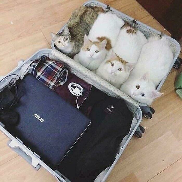  !