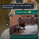 ���� Khamzat, ����, 22 ���� - ��������� 5 ���� 2023