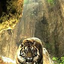 ���� ������, ������, 31 ��� - ��������� 14 �������� 2023 � ������ ���� ����������