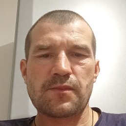 �������, �����-���������, 41 ���