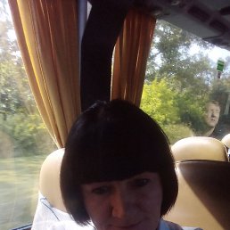 ����, ������, 41 ���