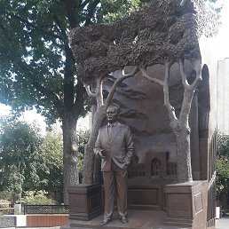 �����, ������, 39 ���