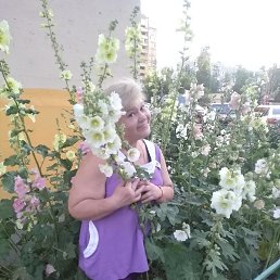 �����, ������ ��������, 50 ���