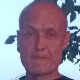 ������, ����������, 46 ���