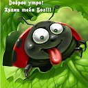 ���� �����, ������, 38 ��� - ��������� 6 ������� 2023 � ������ ���� ����������