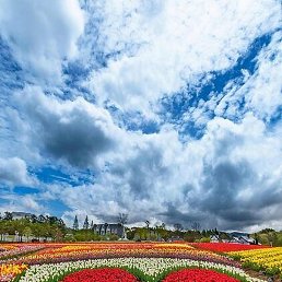 �����, �����-���������, 33 ����