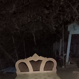 ���� ���, �����������, 40 ��� - ��������� 5 ������� 2023