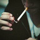 ���� �����, ����, 28 ��� - ��������� 3 �������� 2023 � ������ ���� ����������