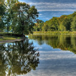 ���������, �������, 49 ���