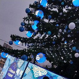 ������, ������, 43 ����