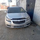 ���� �����, ������ ��������, 51 ��� - ��������� 1 ���� 2023 � ������ ���� ����������