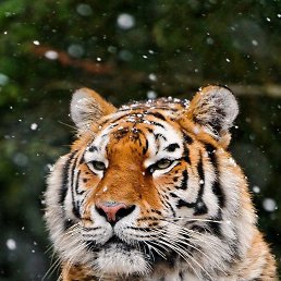 ���� ���������, ���������, 47 ��� - ��������� 28 ��� 2023