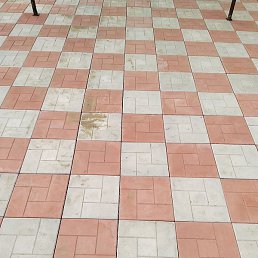 ��������, ������, 46 ���