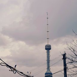 ���� Davlatmurod, �������, 27 ��� - ��������� 9 ��� 2023