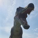 ���� �����, ������, 41 ��� - ��������� 18 ���� 2023 � ������ ���� ����������