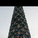 ���� ����, �������� ����, 43 ���� - ��������� 12 ������ 2023 � ������ ���� ����������