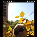 ���� �������, ������������, 66 ��� - ��������� 30 �������� 2023 � ������ ���� ����������