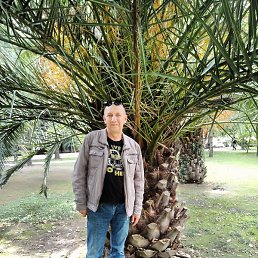 �����, ������, 54 ����