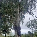 ���� ������, ������������, 57 ��� - ��������� 1 ���� 2023