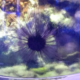 �����, ����, 39 ���