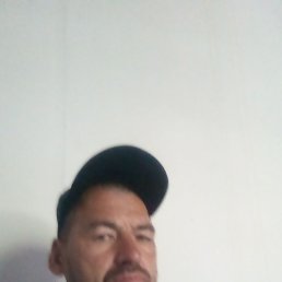 ������, ������, 44 ����