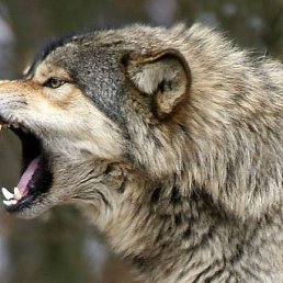 ���, ������, 30 ���