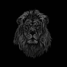 ���������, ������ ��������, 70 ���