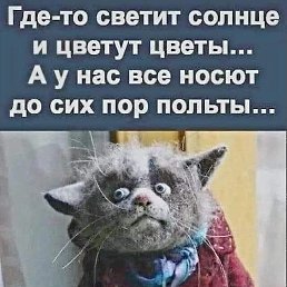 ������, ������-��-����, 57 ���