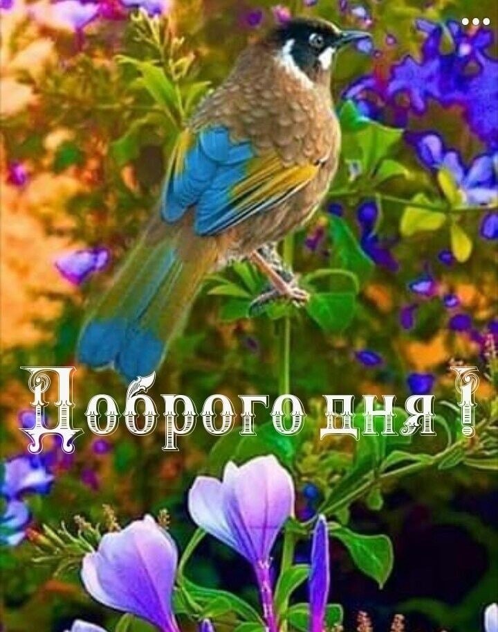   ,    . - 5  2023  15:06