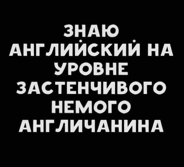   - 28  2023  21:39