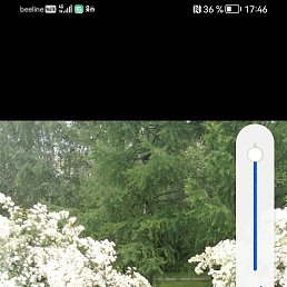 ����, ������, 37 ���