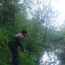 ������, ������, 46 ���