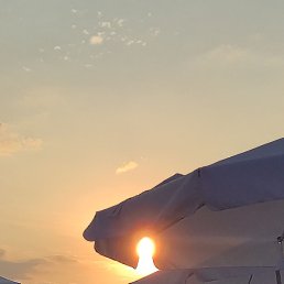 ����, �������������, 59 ���